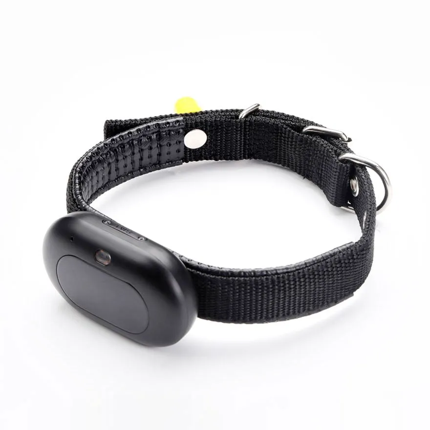 GPS Pet Tracker