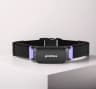 PetPace Smart Collar